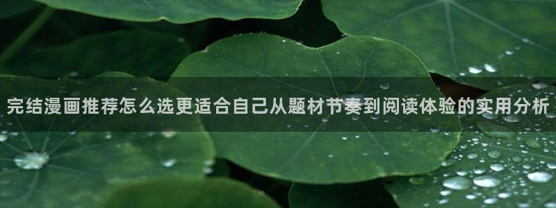 漫画免费看完结榜